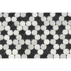 Bianco Carrara Honed Marble Penny Round Mosaic Tile (Carrara + Thassos + Black)