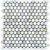 Calacatta Gold Honed Marble Penny Round Mosaic Tile