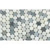 Oriental White Honed Marble Penny Round Mosaic Tile (Oriental White + Thassos + Blue)
