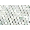 Thassos White Polished Marble Penny Round Mosaic Tile (Carrara + Thassos + Ming Green)
