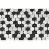 Thassos White Polished Marble Penny Round Mosaic Tile (Thassos + Carrara + Black)